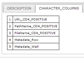 Summary Display CSV Character Columns Metadata